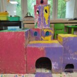 IMG_20250605_101316
