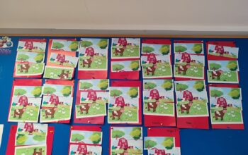 IMG_20250910_103631