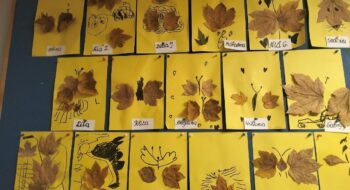 IMG20251017071950 IMG20251017071950