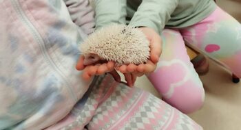 IMG_20251016_113007 IMG_20251016_113007